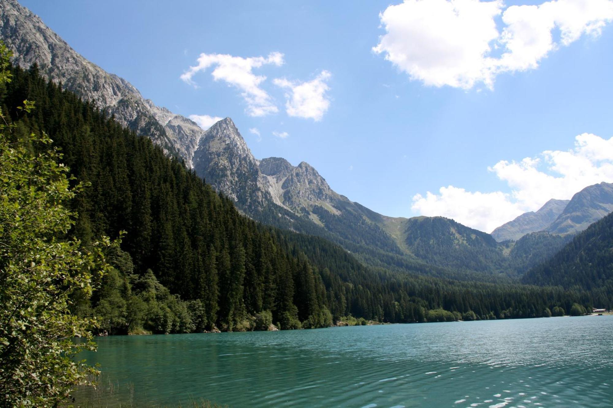 Bed and Breakfast Garni Renzler Rasun di Sopra Esterno foto